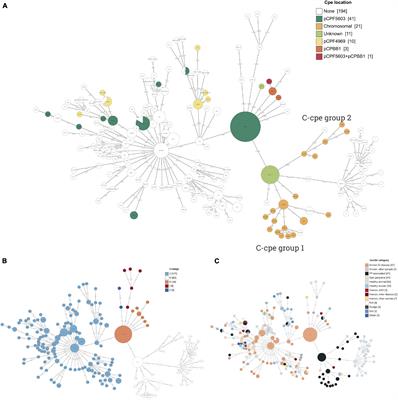 Comparative Genome Analysis and Spore Heat Resistance Assay Reveal a New Component to Population Structure and Genome Epidemiology Within Clostridium perfringens Enterotoxin-Carrying Isolates